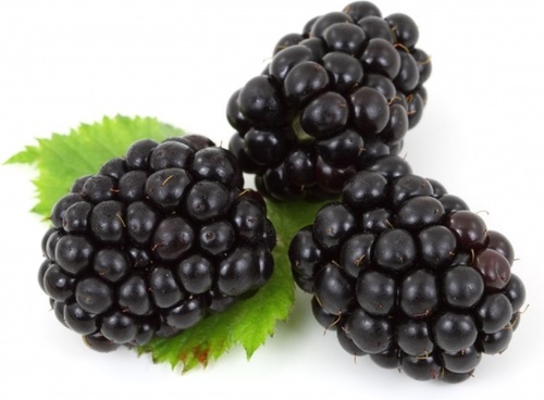 Blackberries