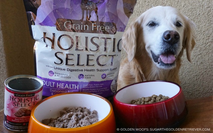 Best Dry Puppy Foods