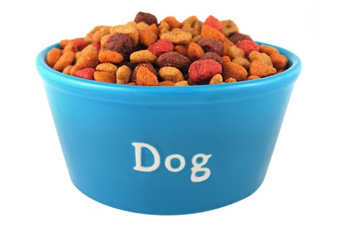 Canned Dog Food For Senior Dogs