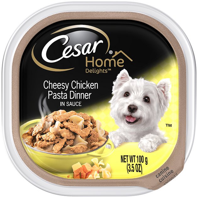 Cesar Home Delights Cheesy Chicken Pasta Dinner Dog Food Trays, 3.5-oz, case of 24