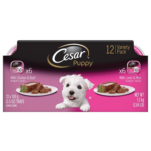 Cesar Puppy Pate Multipack Dog Food Trays, 3.5-oz, case of 12