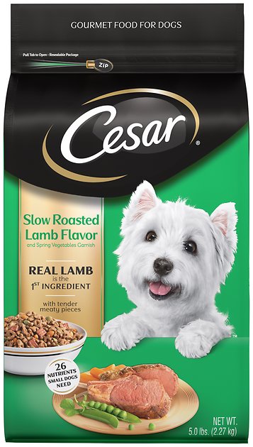 Cesar Slow Roasted Lamb Flavor With Spring Vegetables Dry Dog Food