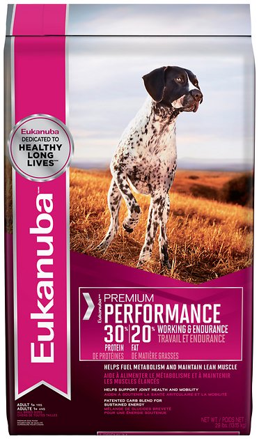 Eukanuba Premium Performance 30/20 Adult Dry Dog Food, 29-lb bag