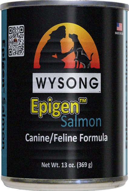 Wysong Epigen Salmon Formula Grain-Free Canned  Dog, Cat & Ferret Food, 13-oz, case of 12