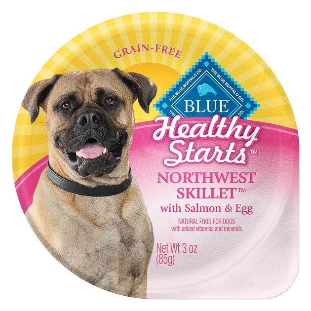 Blue Buffalo Healthy Starts Northwest Skillet with Salmon & Egg Grain-Free Wet Dog Food, 3-oz, case of 12