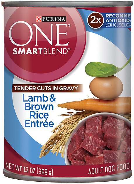 Purina ONE SmartBlend Tender Cuts in Gravy Lamb & Brown Rice Entree Adult Canned Dog Food, 13-oz, case of 12